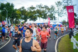 BIB: 
                            <button type="button" onclick="openModal(26550279)" class="btn btn-primary btn-sm float-right btn-popup" data-toggle="modal" data-target=".modal-high-quality">
                        <i class="fas fa-shopping-cart"></i> Add to Cart
                    </button>
                                            <button type="button" onclick="isThisMe(26550279, true)" class="btn btn-success btn-sm float-right btn-popup btn-isme hidden" data-toggle="tooltip" data-placement="bottom" title="นี่คือรูปของคุณใช่ไหม คลิกที่นี่เพื่อเอาเข้าอัลบั้ม">
                        <i class="fas fa-plus"></i> Add to album
                    </button>
                    <button type="button" onclick="isThisMe(26550279, false)" class="btn btn-warning btn-sm float-right btn-popup btn-isnotme hidden">
                        <i class="fas fa-ban"></i> Remove from album
                    </button>